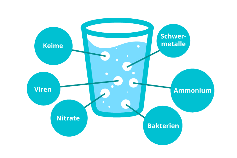 Illustriertes Wasserglas mit Inhaltsstoffen